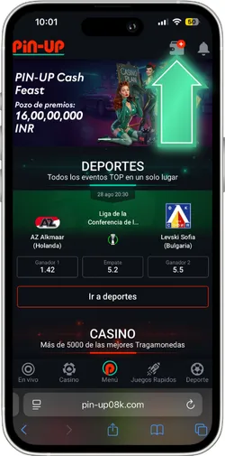 Ir a la sección de depósito Pin-Up