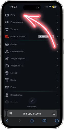 Abrir configuración del perfil en Pin-Up