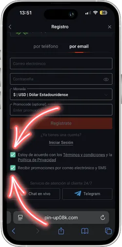 Aceptar términos y condiciones en Pin-Up