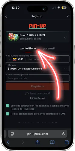 Elegir método de registro en Pin-Up